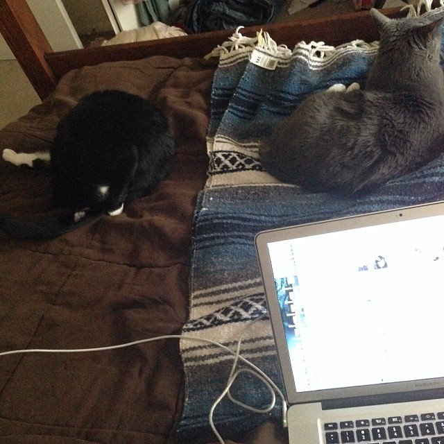 Read more about the article Root canal day means working from bed. #projectlife365