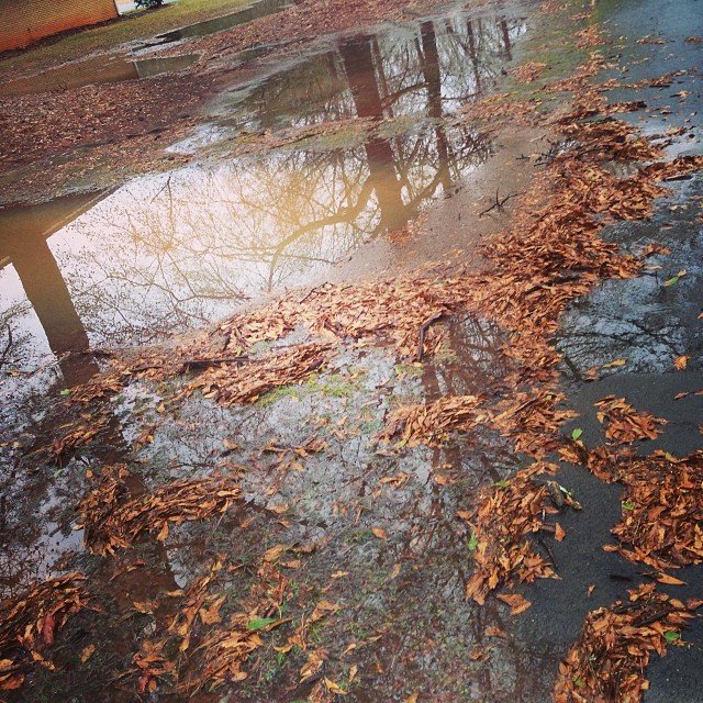 Read more about the article We had lakefront property yesterday. #projectlife365