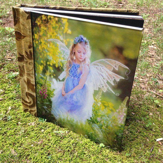 Read more about the article Albums