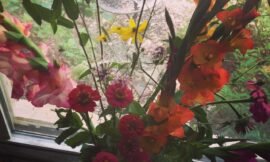 Pretties thanks to John’s boss!!